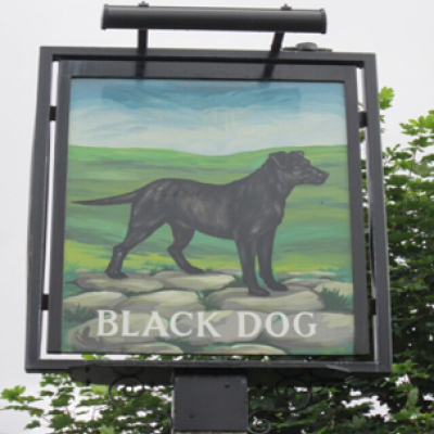 green fields of vineyards with blue sky