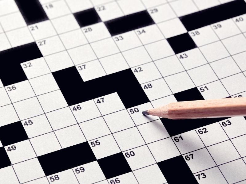 u3a Festival 26 image