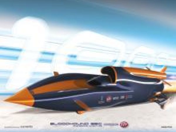 graphic of the Bloodhound