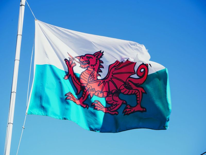 u3a Festival 26 image