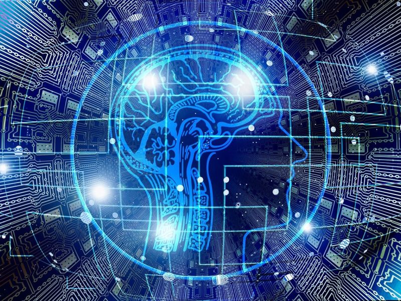 Digitally created image of a human head and brain