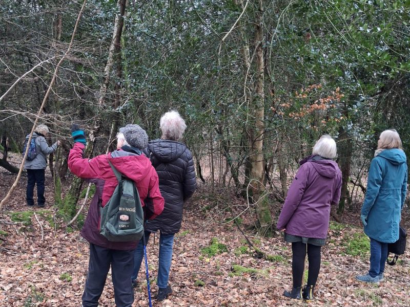 u3a Festival 26 image