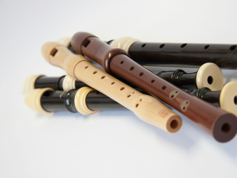 u3a Festival 26 image