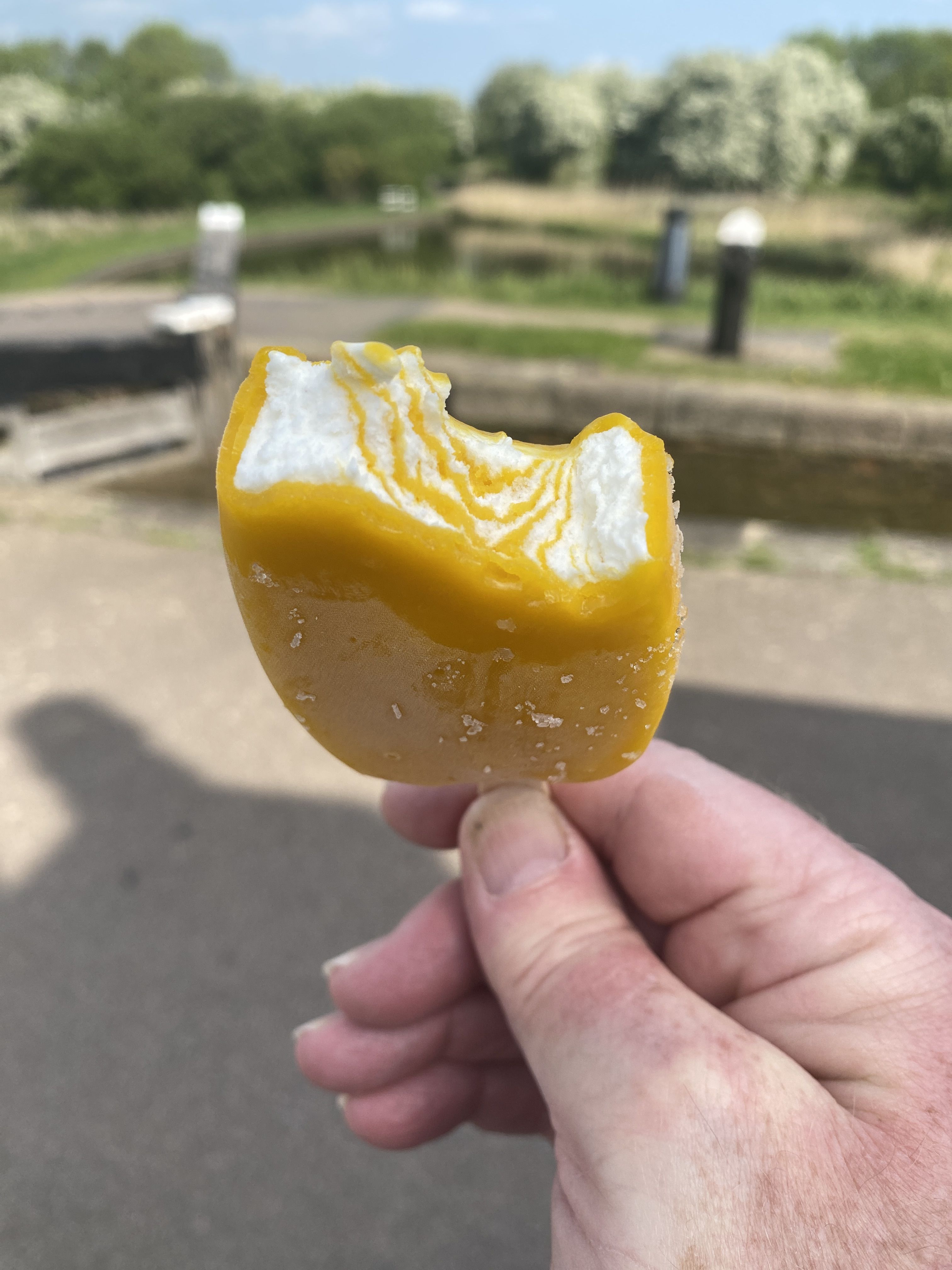 Photo of an ice lolly