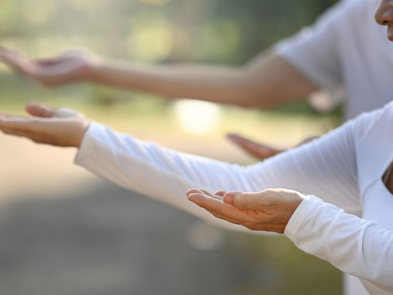 u3a Festival 26 image