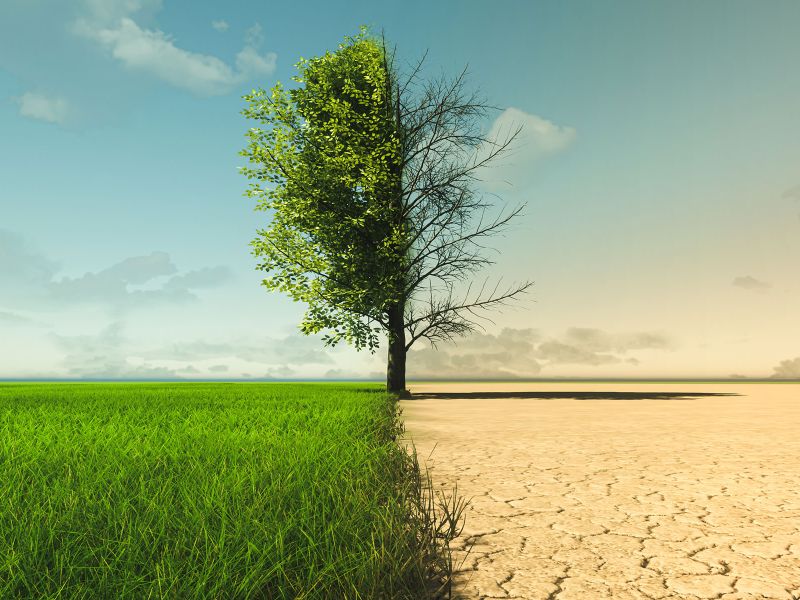 people smiling playing cards