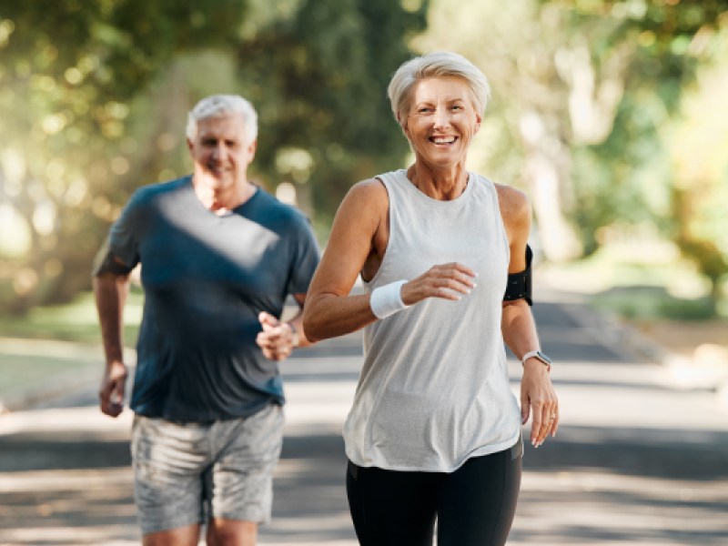 u3a Festival 26 image