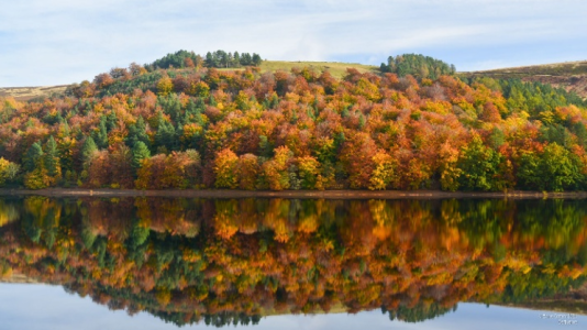 Photo of a lake with autumnal Trees