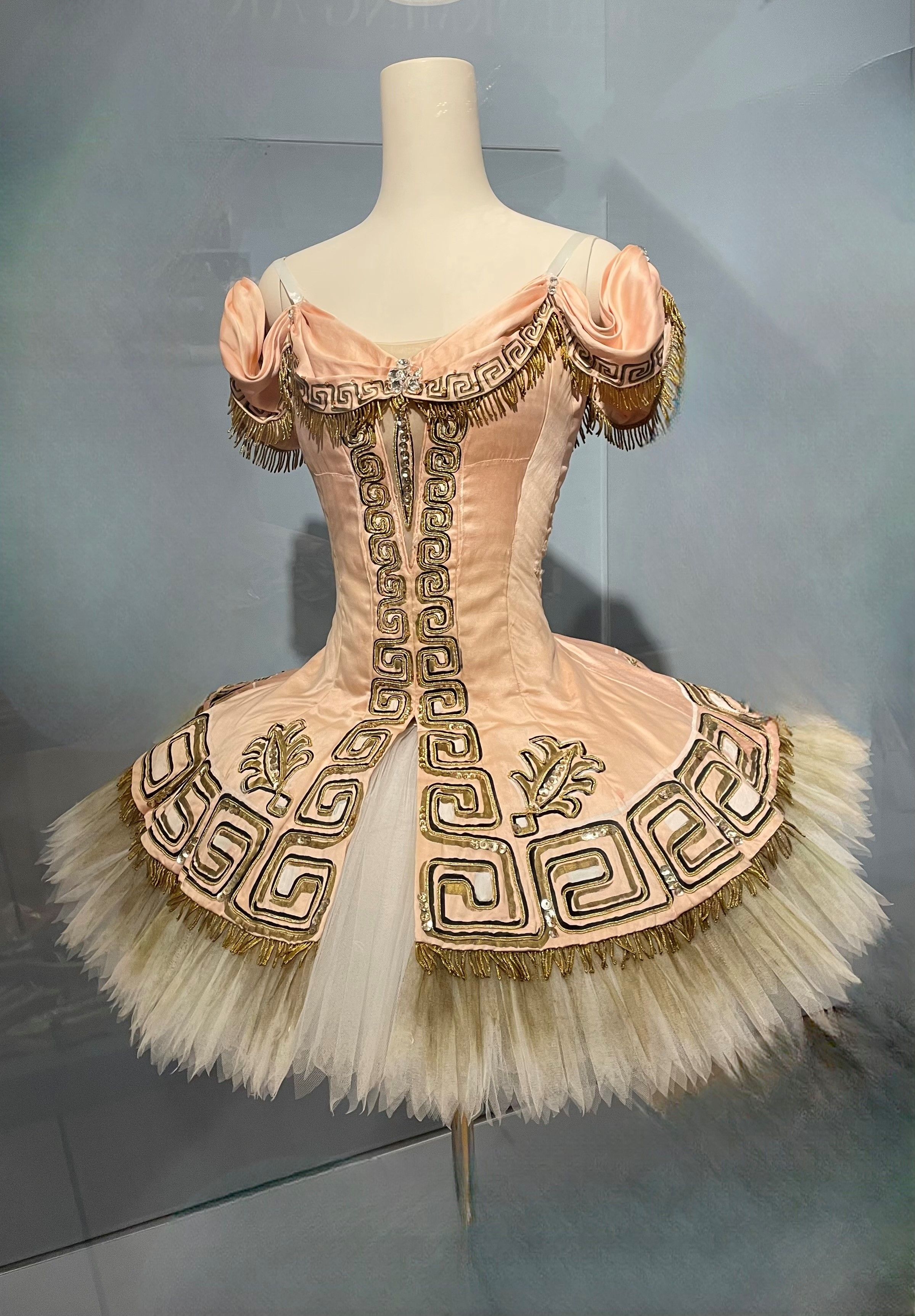 a dress made for Darcey Bussell with gold and silver embroidery.