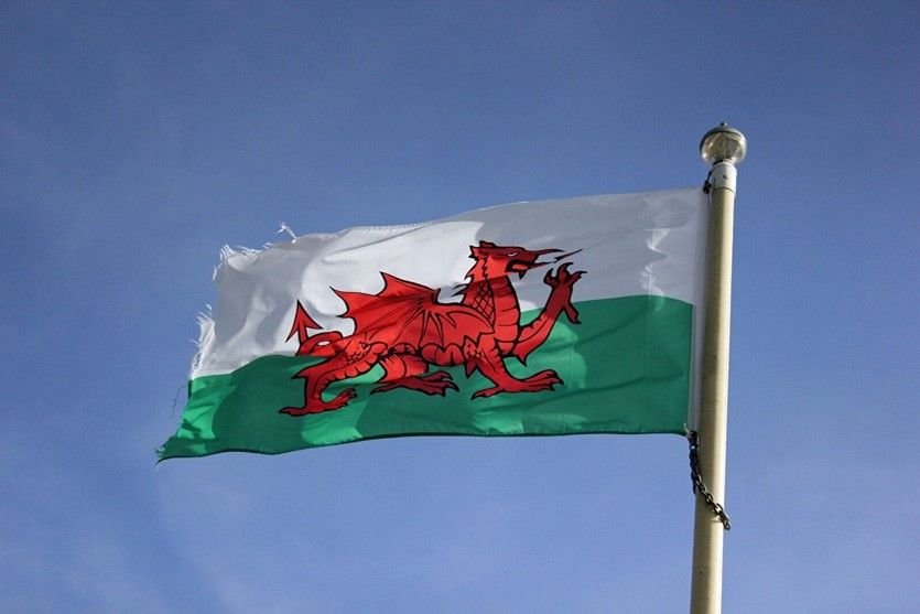 green and white flag with red dragon flying in wind