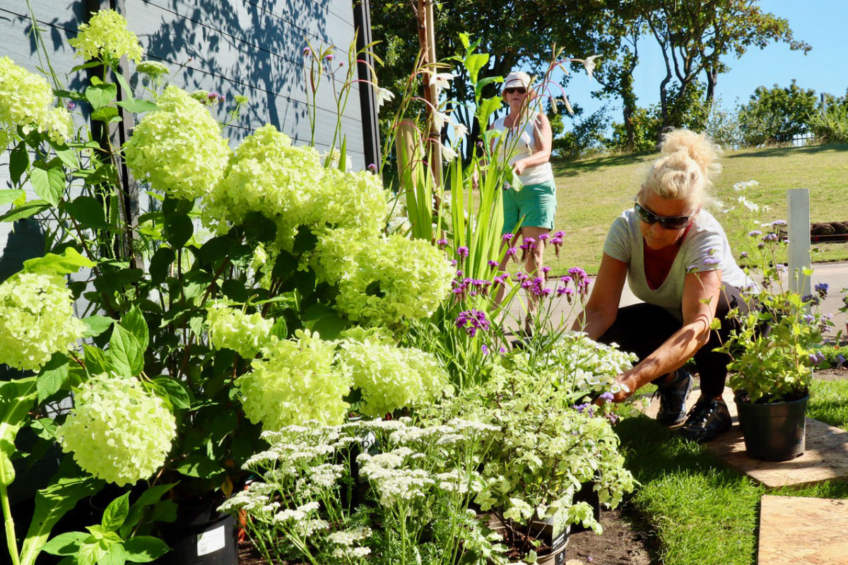 Creating A Show Garden to Celebrate 40 Years of u3a