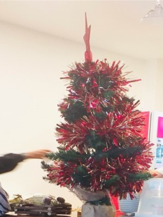 A photo of a small Christmas tree