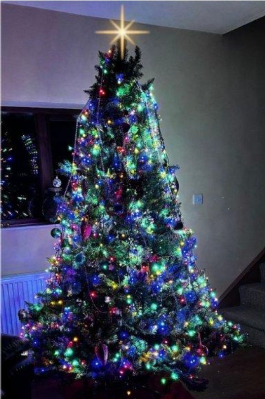 Bulletin December 25 02