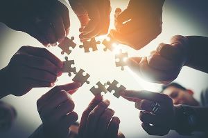 An Update from the IGO Group Leaders' Meeting