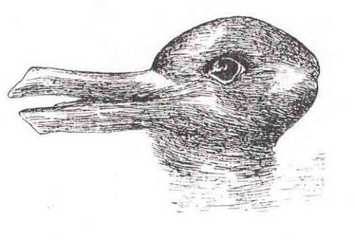 black and white drawing of a duck's head