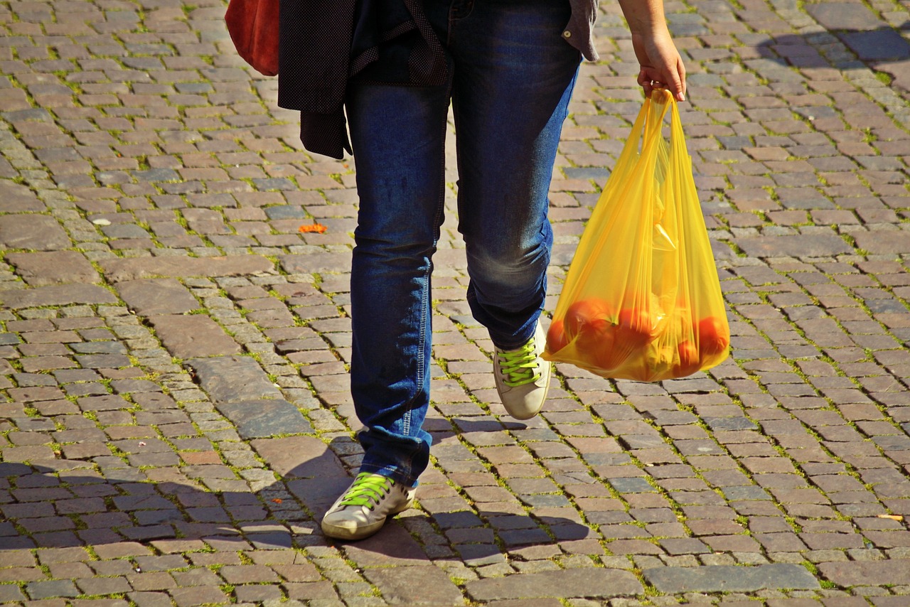 Photo of a woman carrying oranges in a yellow plastic bag