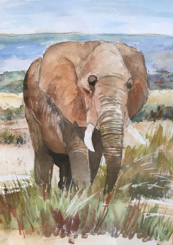 'Bull elephant' by Elizabeth Jackson, High Lane u3a