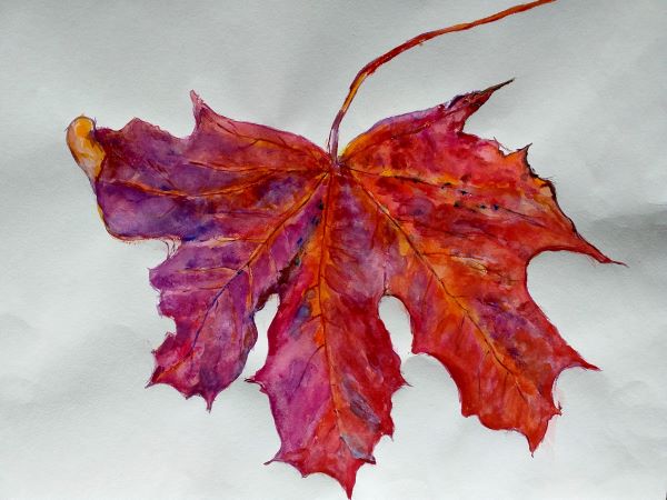 'Leaf' by Lesley Williams, Hale u3a