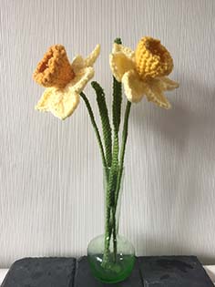 Daffodils resize