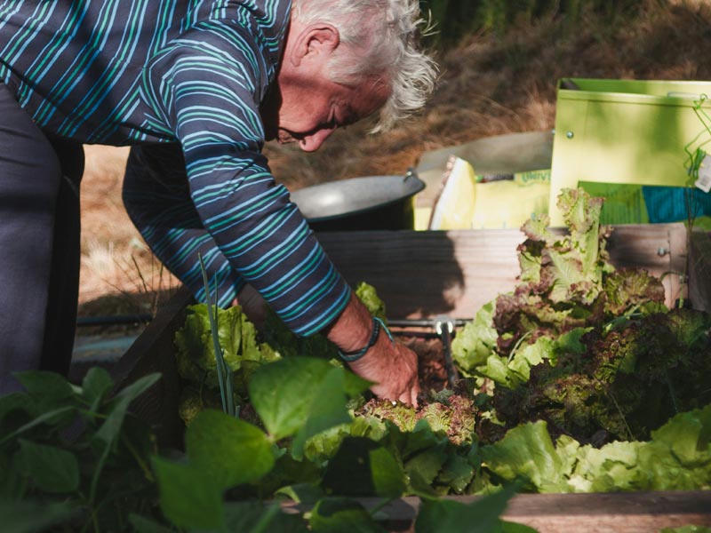 u3a Interest Groups Online