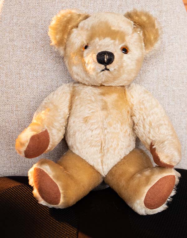 'Teddy bear' by Carol Andrews of Haywards Heath u3a