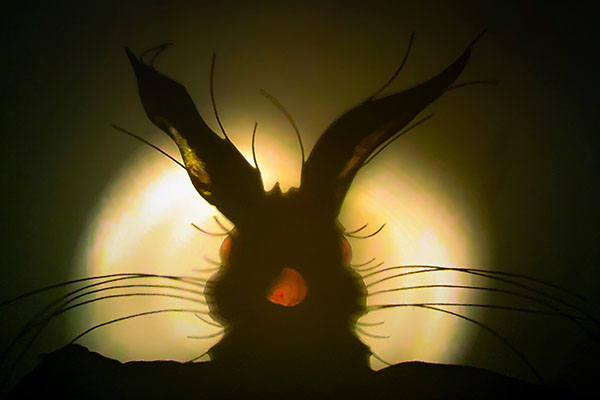 'Shadow Hare' by David Muir of Bearsden & Milngavie U3A