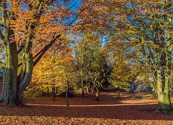 'Autumn' by Derek Oakley of Droitwich Spa & District