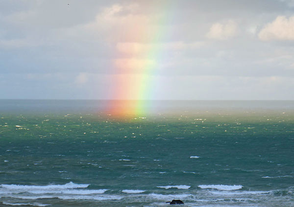 'Rainbow' by Marion Clark of Newquay u3a