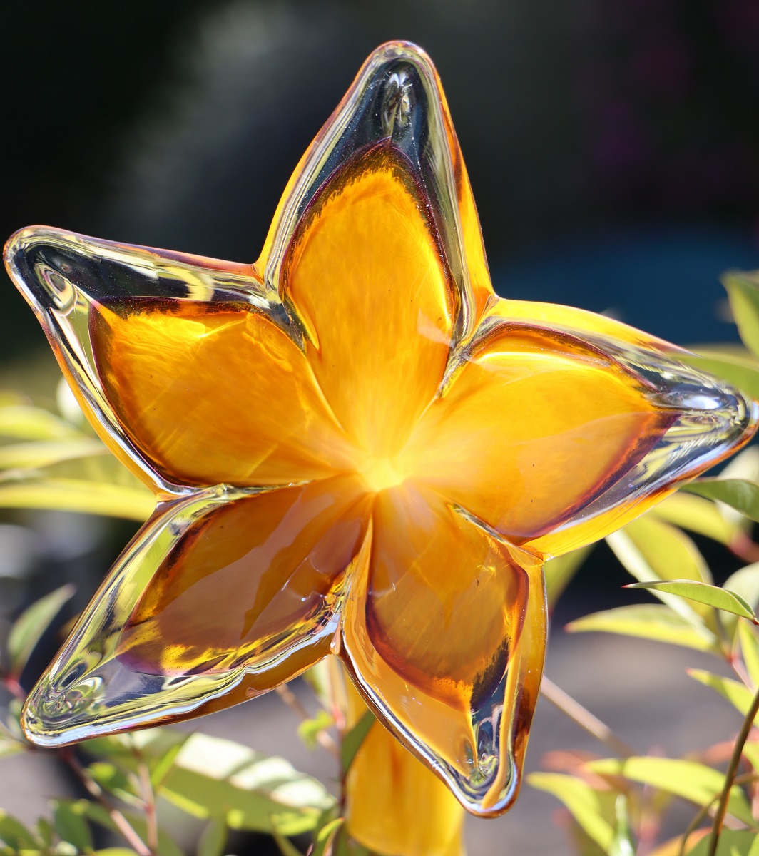 'Glass Flower' by John Owen of Worcester U3A