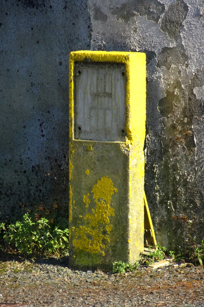 'Yellow Box' by Eve Coomber of Liskeard and District U3A