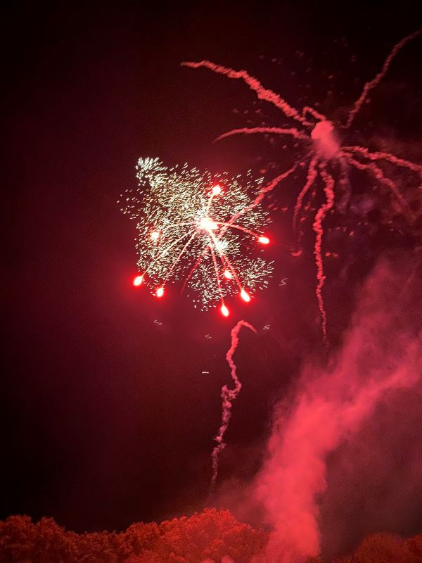 'Fireworks' by Karen Viney of Sevenoaks u3a