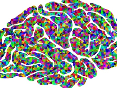 Secrets of the Human Brain: Talk One
