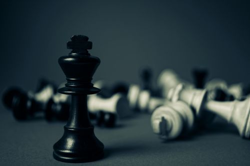 Chess king