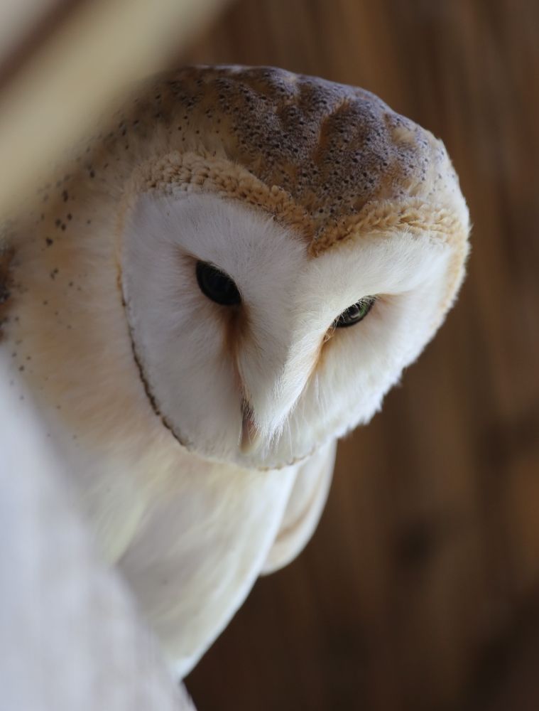 A screenshot of the Climate Change Subject Network website