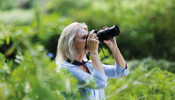 Get outdoors