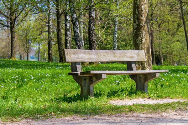 Park bench