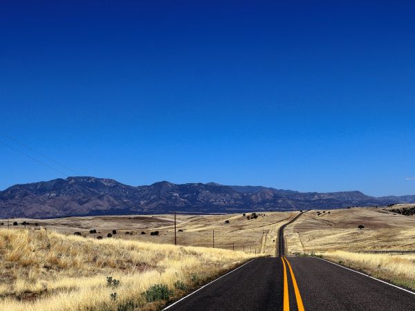 American road and landscape