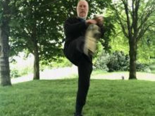 man doing tai chi in park 