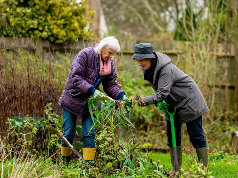 Local Learning Groups