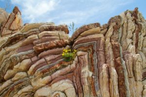 A photo of rocks