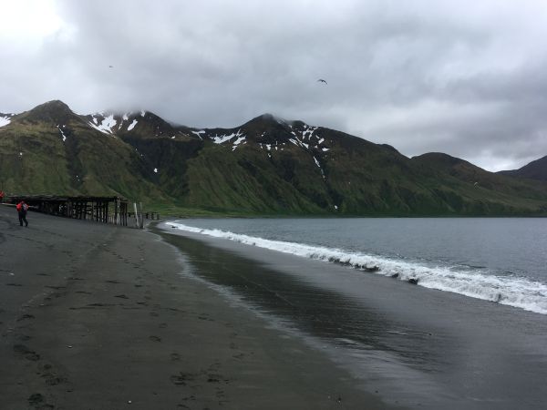 grey and cloudy picture of a beach with mountains in the background