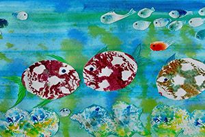 collage of fish underwater