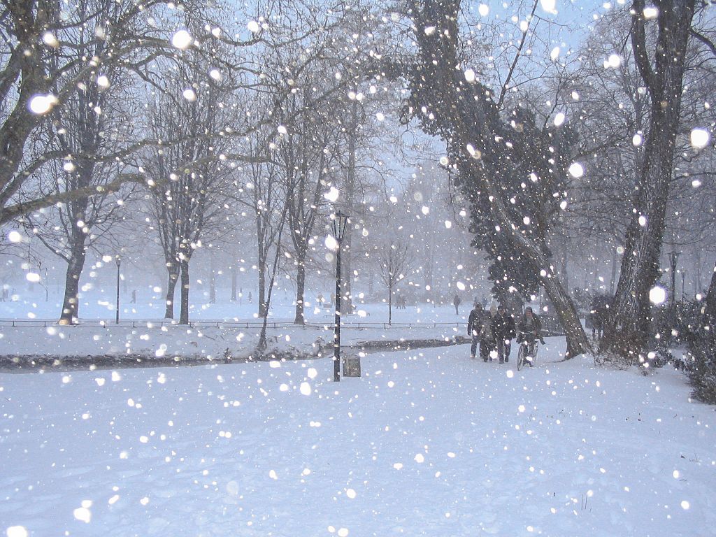 Snowy park scene