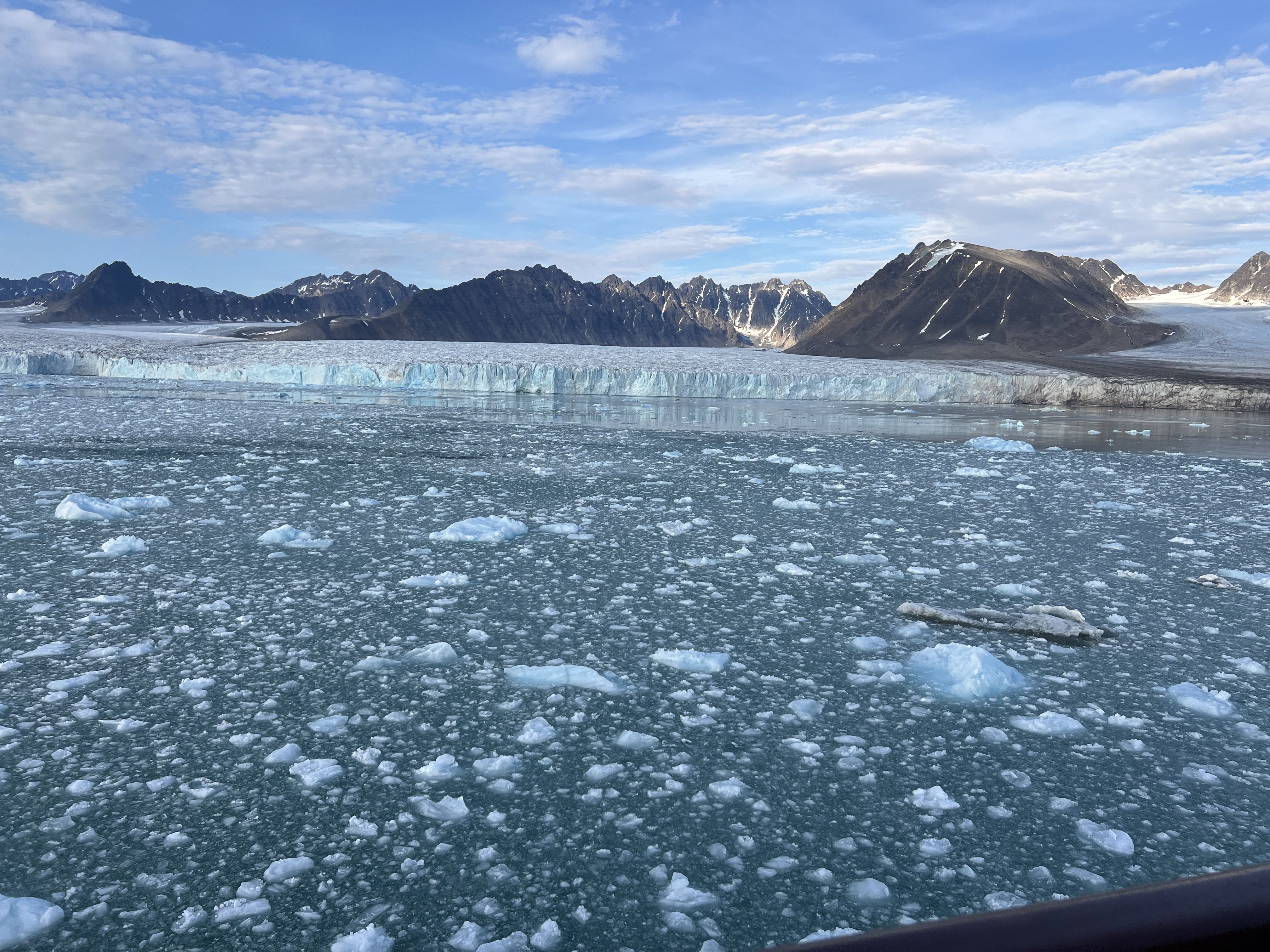 Photo of floating ice
