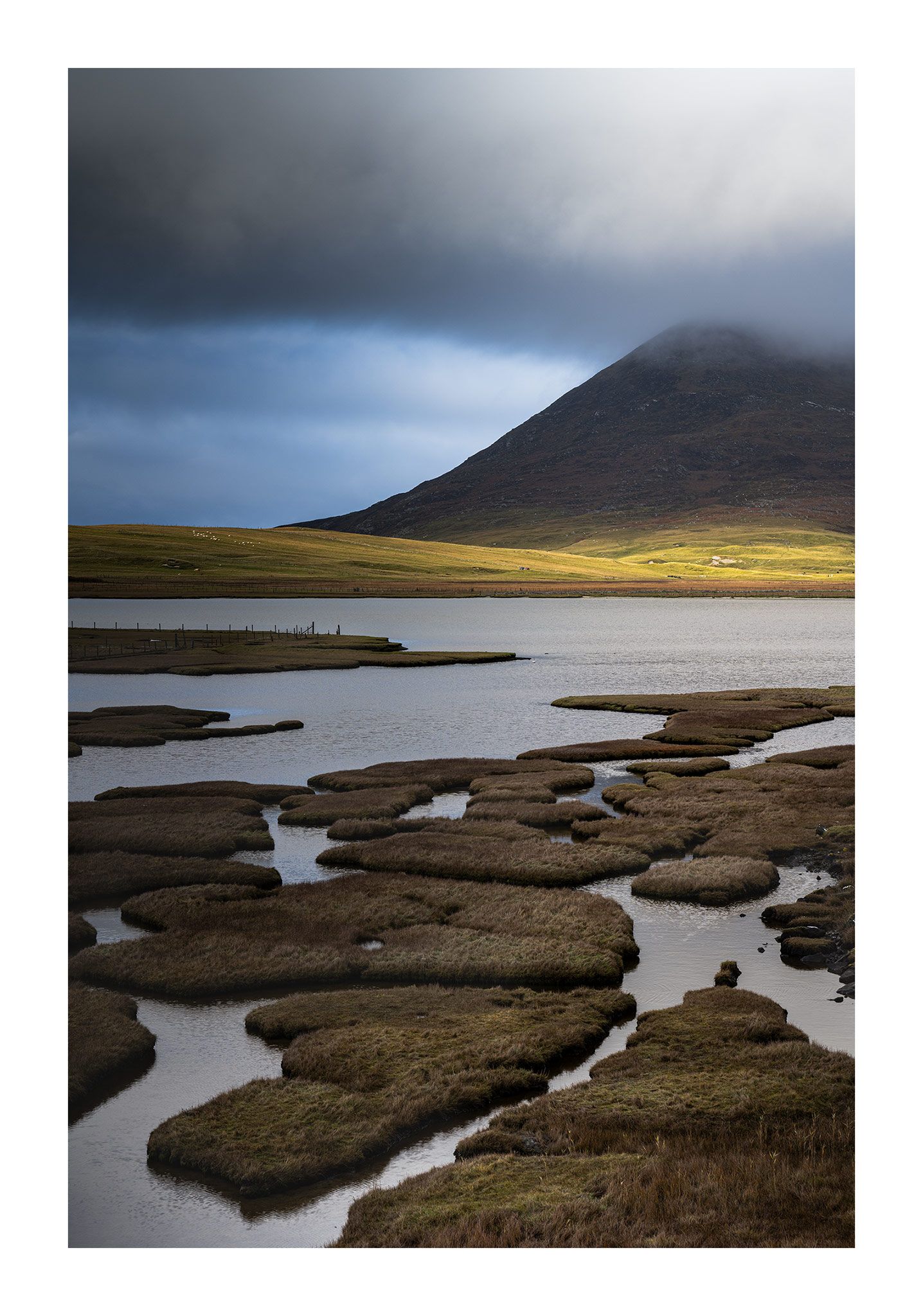 Photo of a watery landscape