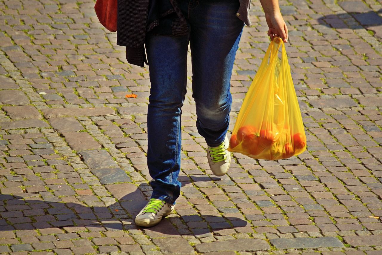 Photo of a woman carrying oranges in a yellow plastic bag